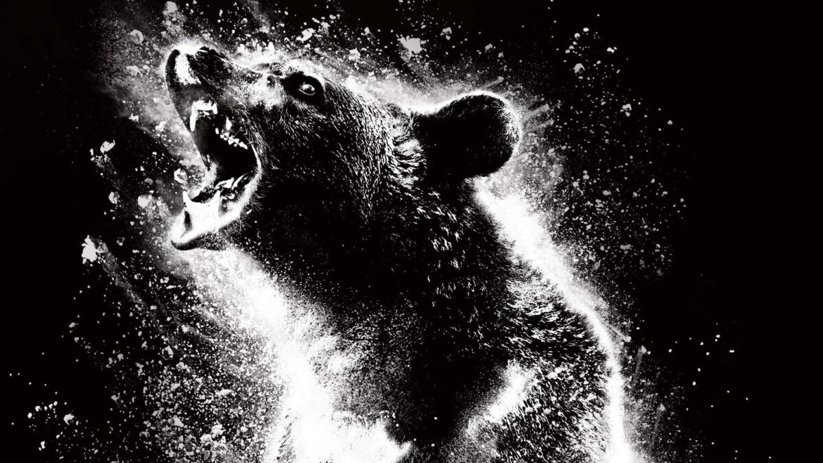 Klokslag 12 #194: De Borgerhoutse Beer (Wild Beasts & Cocaine Bear)