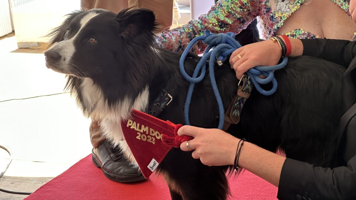 Messi wint Palme Dog in Cannes