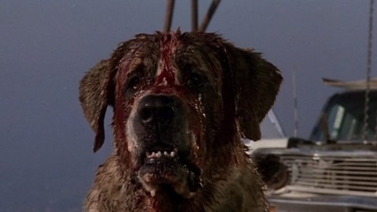 Gremlins Back 2 Back #54: Cujo + Saw