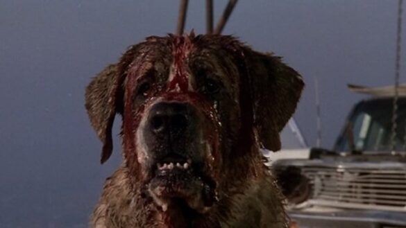 CUJO