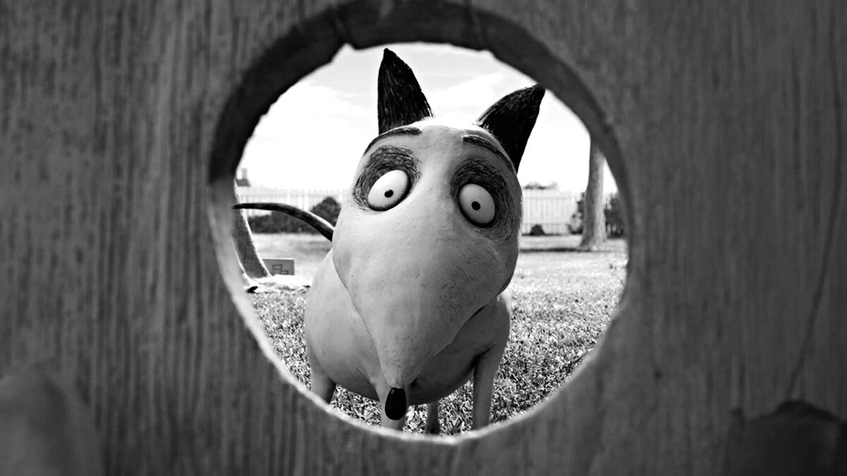 Disney Klassiekers #117 – Frankenweenie (2012) / Chrostin