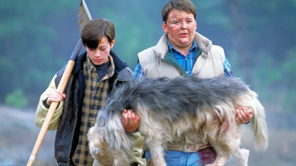 PET SEMETARY TWO (c) The Movie Database (TMDB)