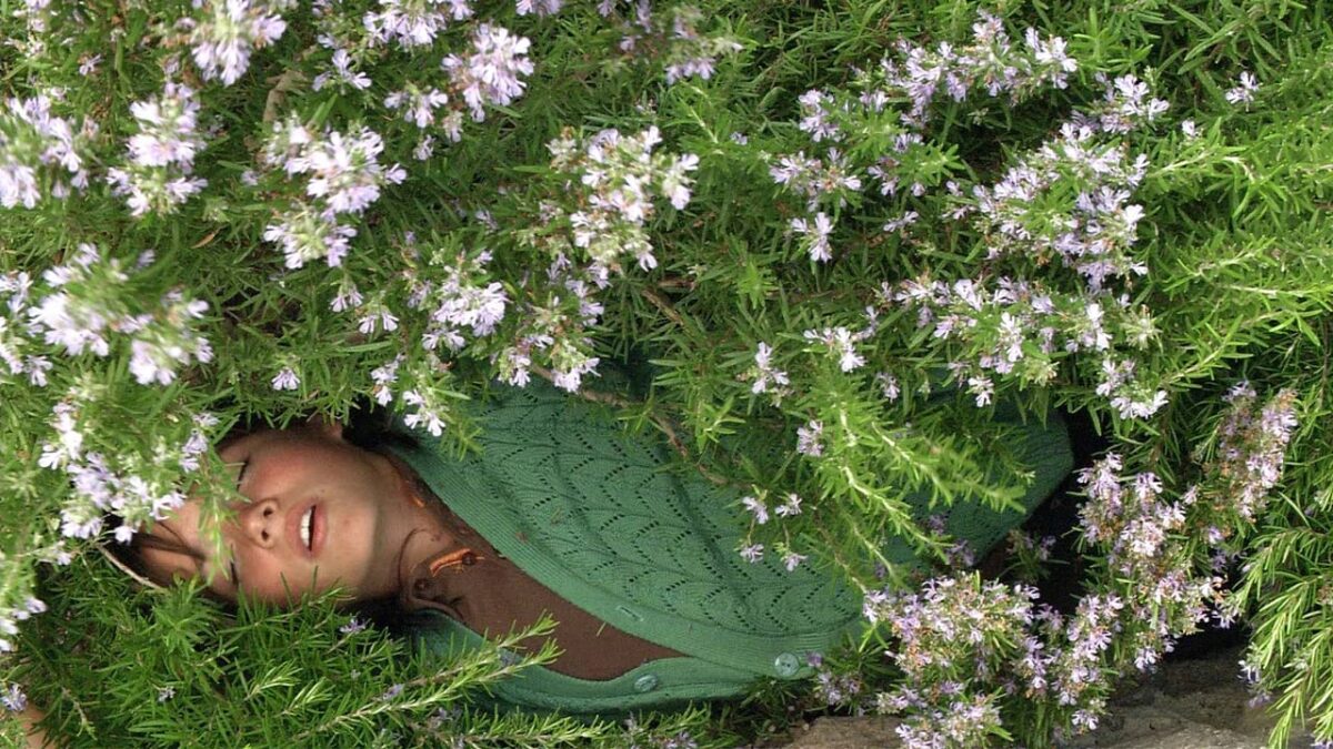 Bes Vakit (Times and Winds)