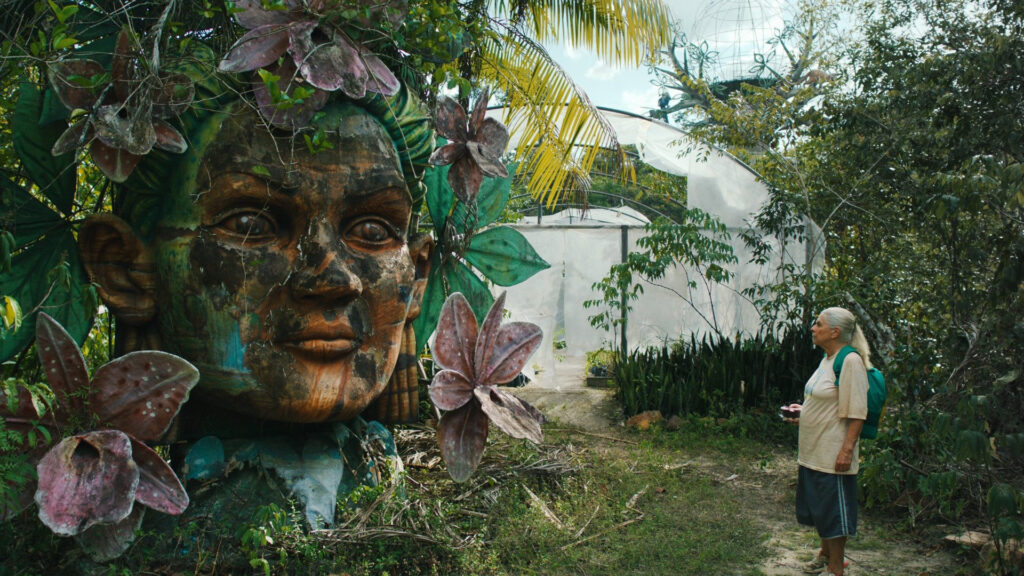 O ULTIMO AZUL (c) The Movie Database (TMDB)