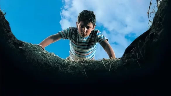 IO NON HO PAURA (c) The Movie Database (TMDb)