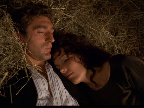 MIRA c) The Movie Database (TMDB)