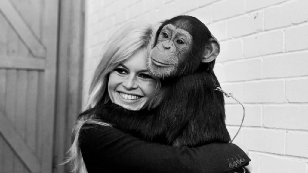 BARDOT (c) The Movie Database (TMDb)