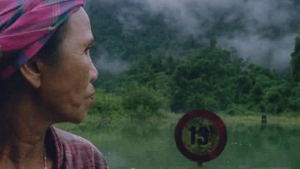 HAIR, PAPER, WATER ... (c) The Movie Database (TMDB)