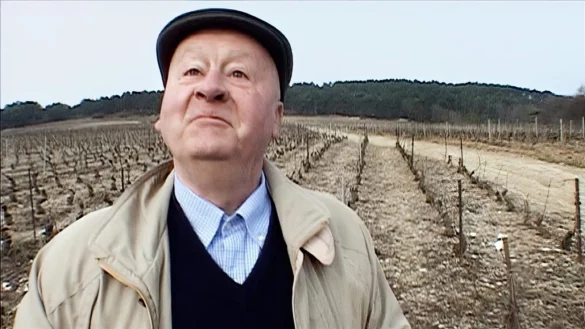 MONDOVINO (c) The Movie Database (TMDb)