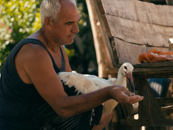 THE TALE OF SILYAN (c) Ciconia Film/Jean Dakar