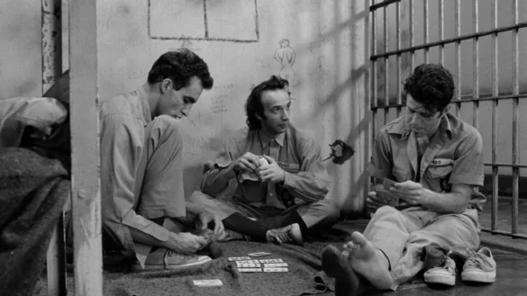 DOWN BY LAW (c) The Movie Database (TMDB)