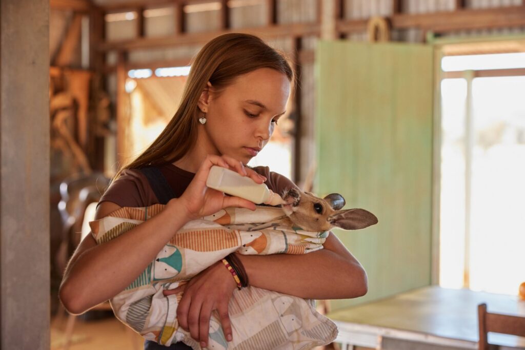 KANGAROO (c) KFD
