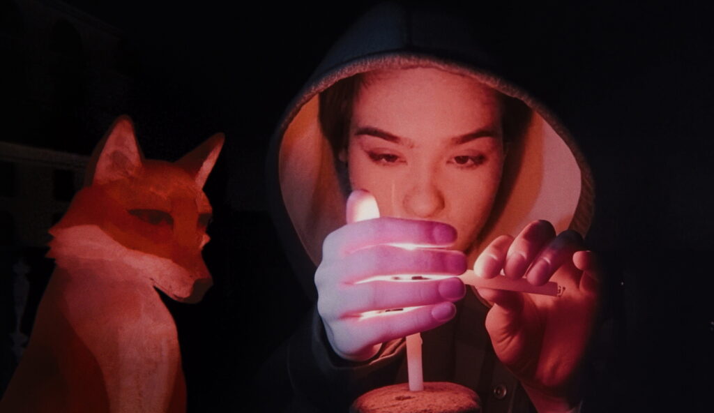 A FOX UNDER A PINK MOON (c) Dalton Distribution