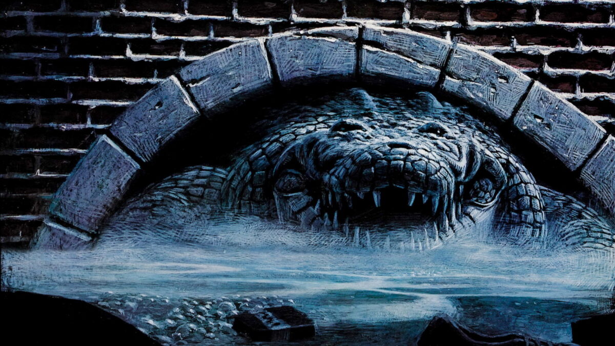 Alligator