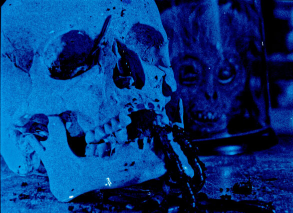 FRANKENSTEIN FRAGMENT (c) SLASH Filmfestival